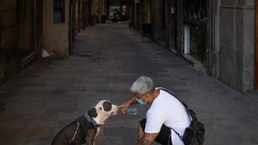 Un estudio confirma que el virus se transmite de humanos a animales