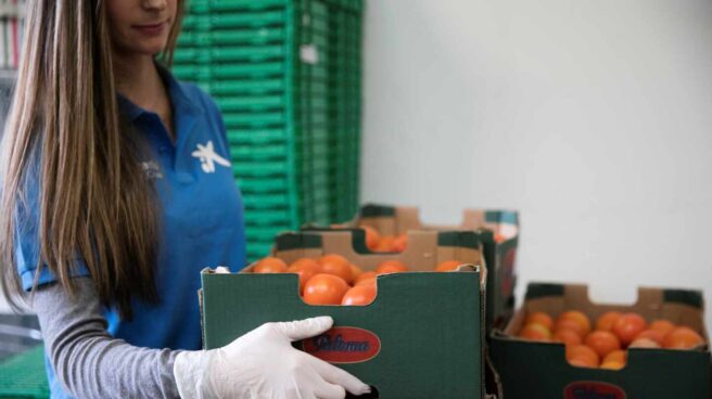 La Fundación ”la Caixa”, con el apoyo  de CaixaBank, recauda 3,3 millones de euros para los Bancos de Alimentos