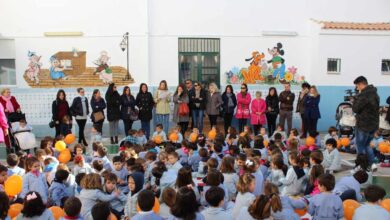 La enseñanza concertada denuncia la "discriminación" que sufre del PSOE y Podemos