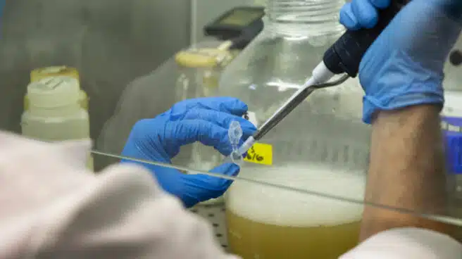Científicos españoles desarrollan un test de detección del coronavirus con fiabilidad del 98%