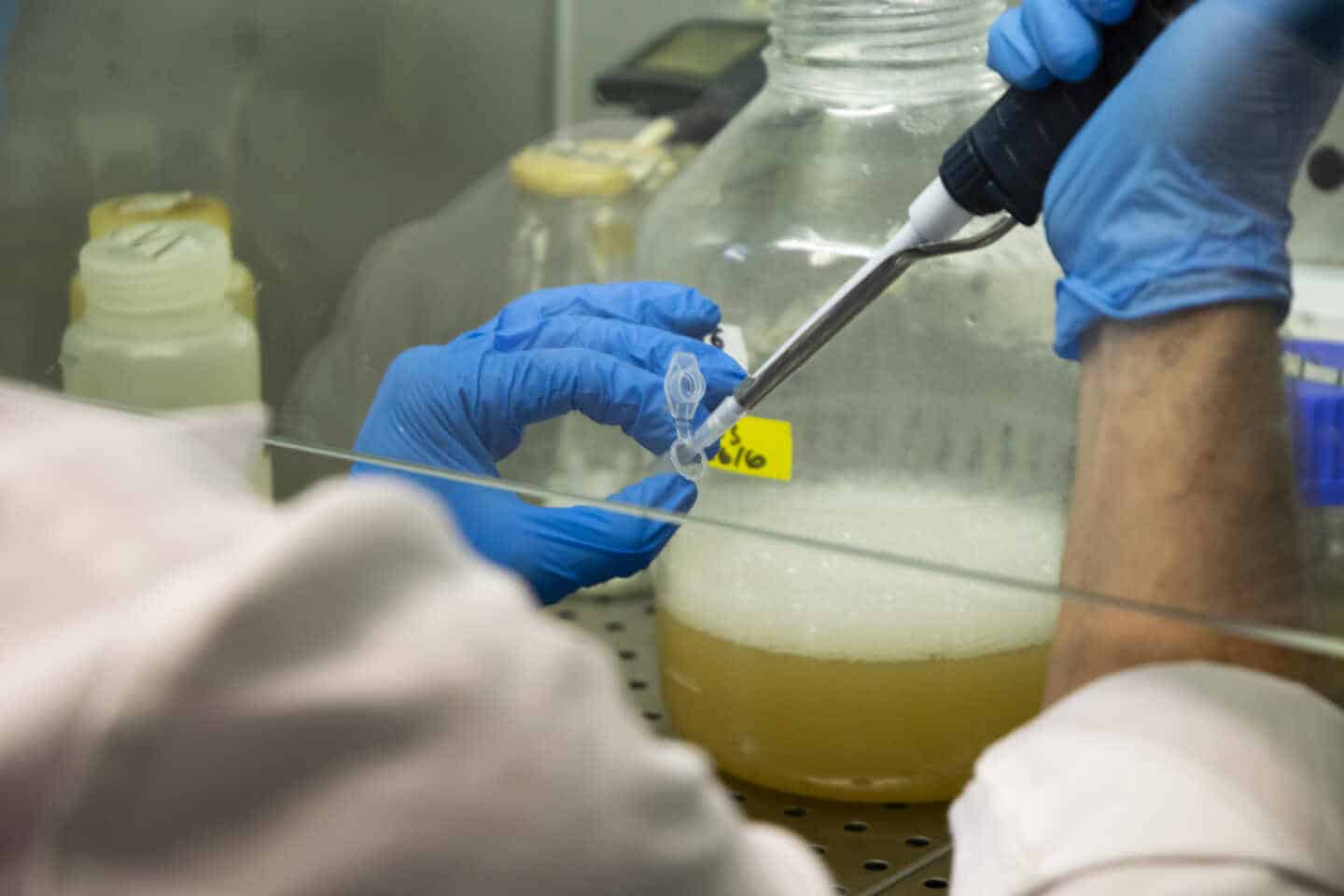 Científicos españoles desarrollan un test de detección del coronavirus con fiabilidad del 98%