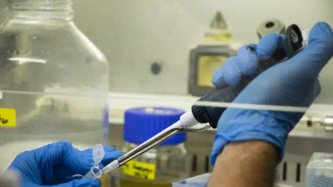 El CSIC cede la tecnología de su test serológico a los países en desarrollo
