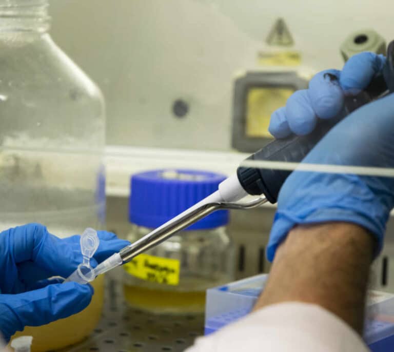 El CSIC cede la tecnología de su test serológico a los países en desarrollo