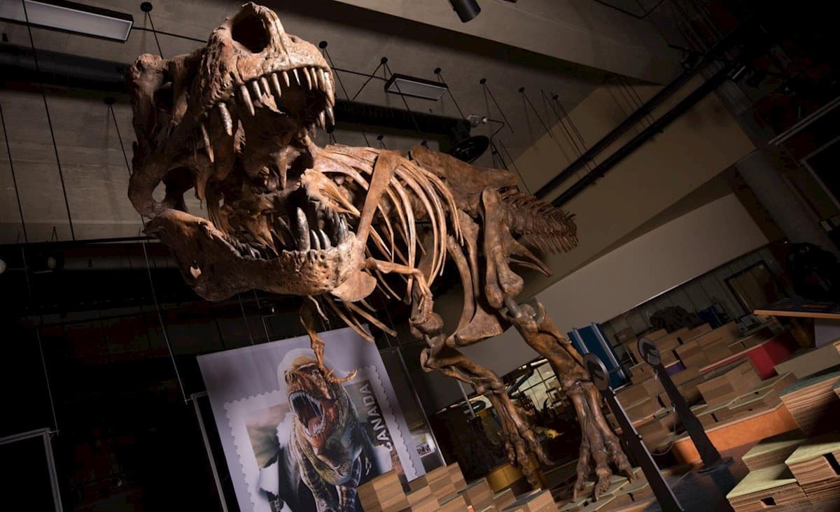 La vida solo tardó 700.000 años en recuperarse tras el fin de los dinosaurios