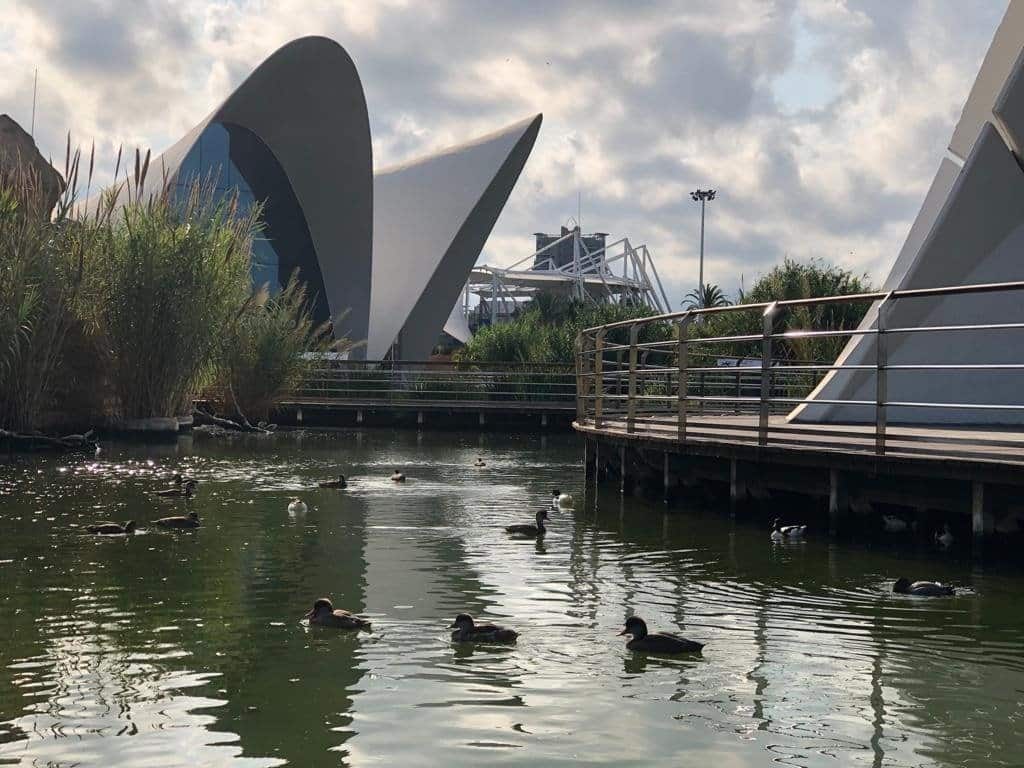 Un incendio obliga a cerrar el Oceanogràfic de Valencia