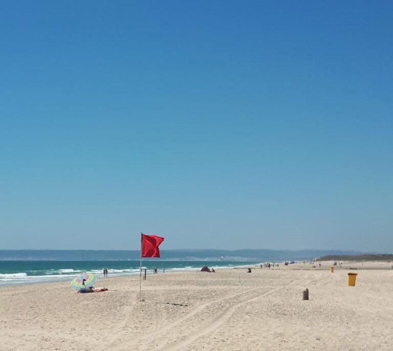 Un tiburón obliga a cerrar la playa de Zahara de los Atunes