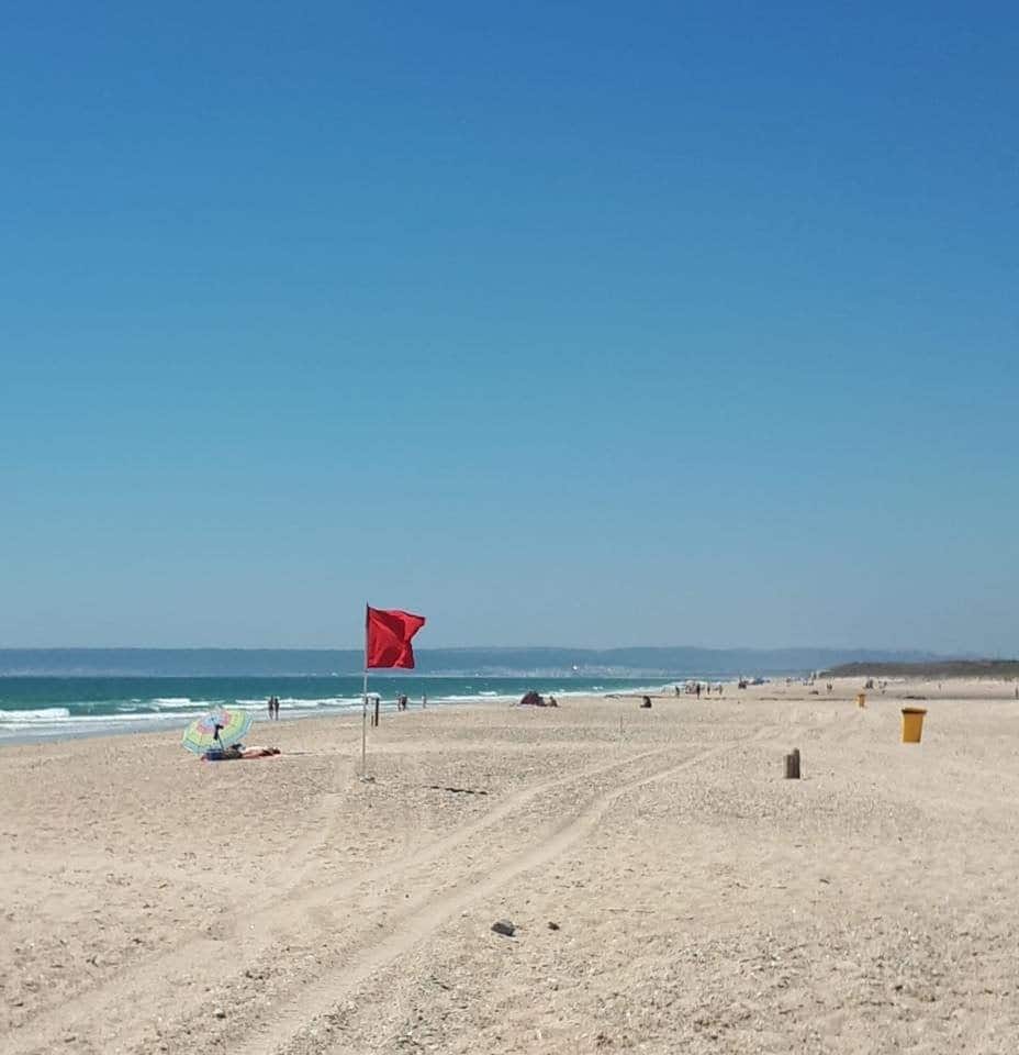 Un tiburón obliga a cerrar la playa de Zahara de los Atunes