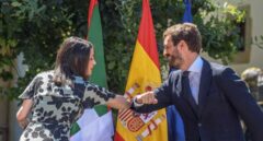 Fin a la convulsa alianza PP+Cs en Euskadi que dejó dimisiones, tránsfugas y no aportó votos