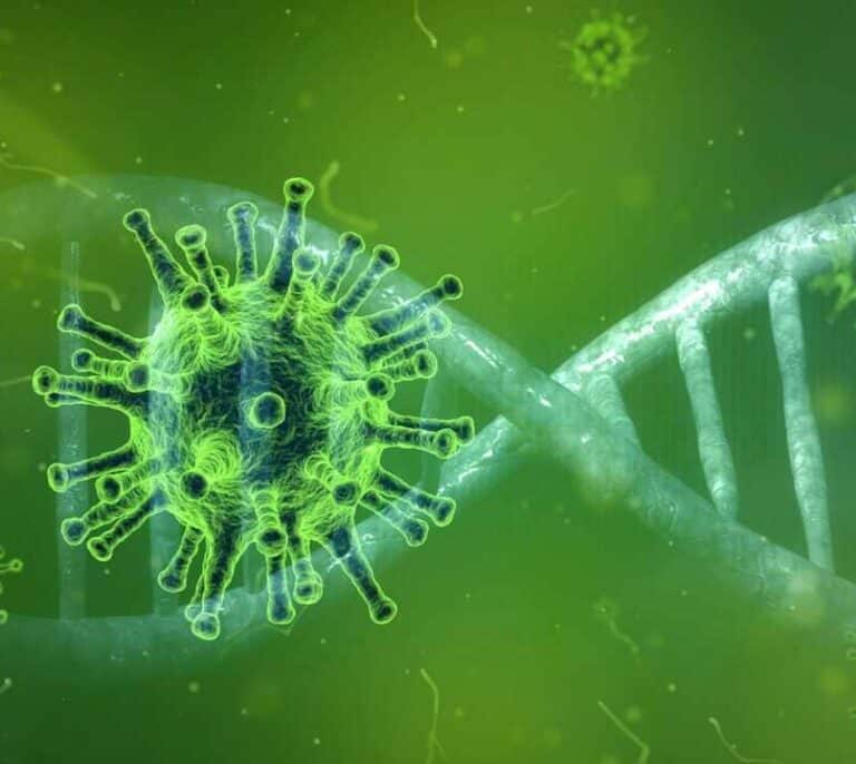 ¿Por qué unos se infectan y otros no? La respuesta está en los genes