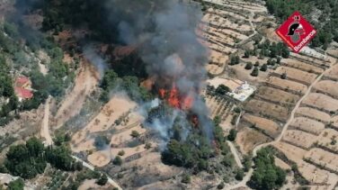 Una treintena de medios aéreos y terrestres luchan contra un incendio forestal en Monòver (Alicante)