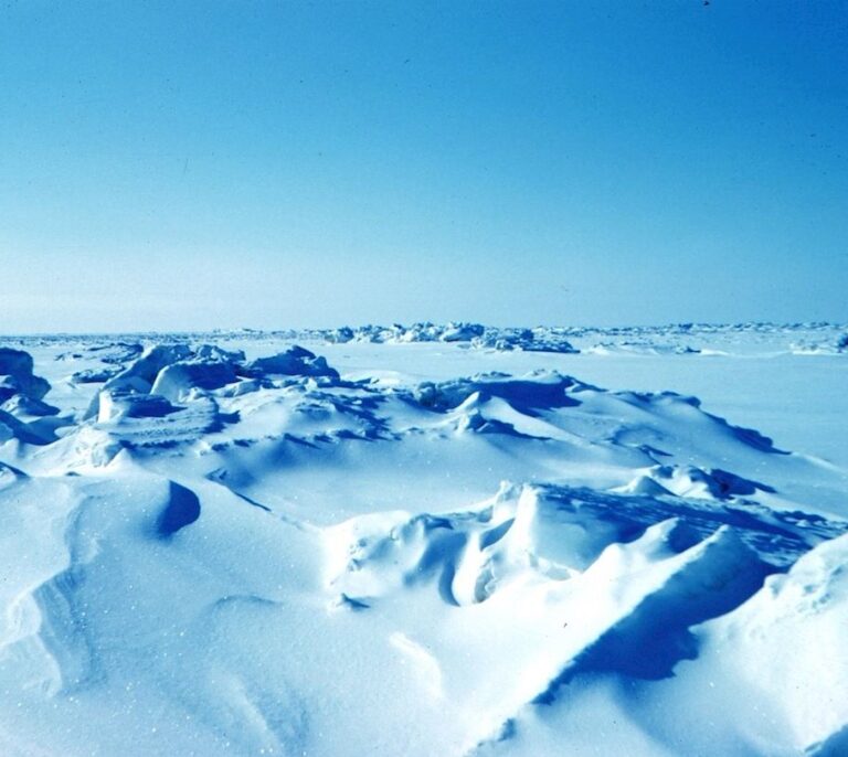 Caídas de radiación solar entrante pueden desatar glaciaciones globales