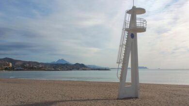 La Guardia Civil abate a un jabalí que hirió a dos personas en la playa de El Campello