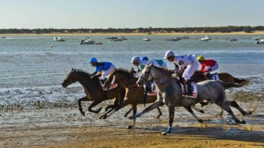 Suspendidas este verano las Carreras de Caballos de Sanlúcar