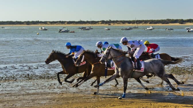 Suspendidas este verano las Carreras de Caballos de Sanlúcar