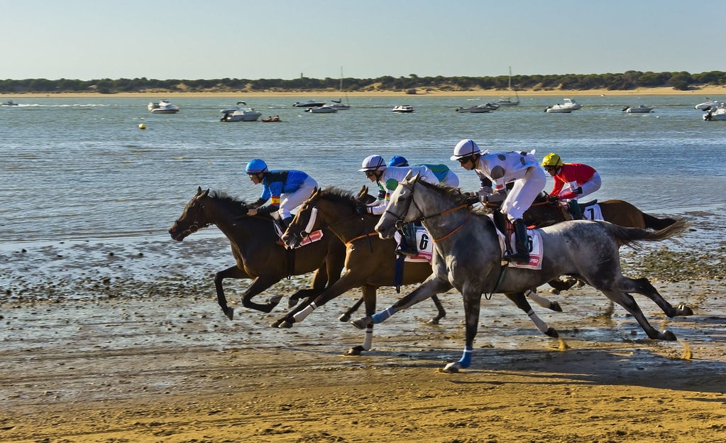 Suspendidas este verano las Carreras de Caballos de Sanlúcar