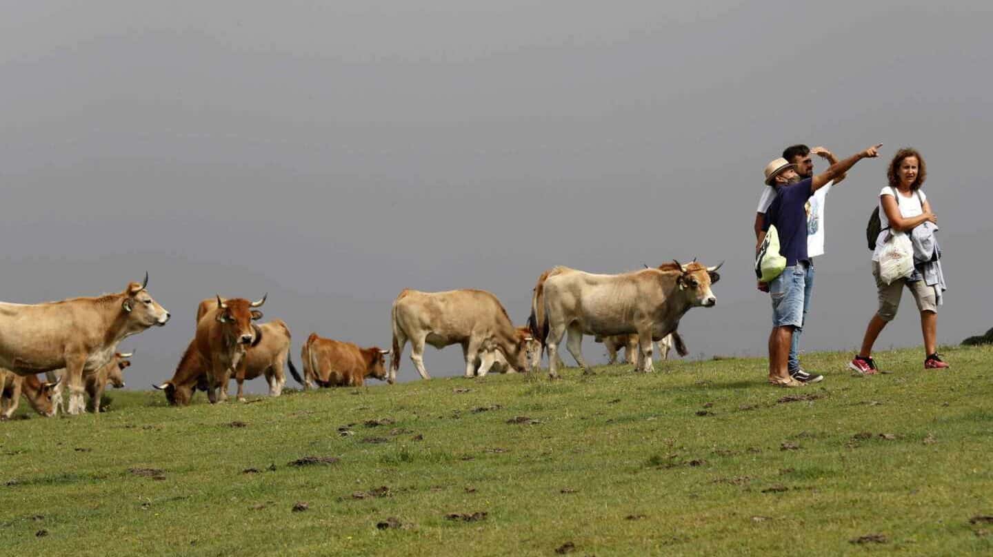 De Asturias a Valencia: Las CCAA que 'mejor' han gestionado el Covid en verano