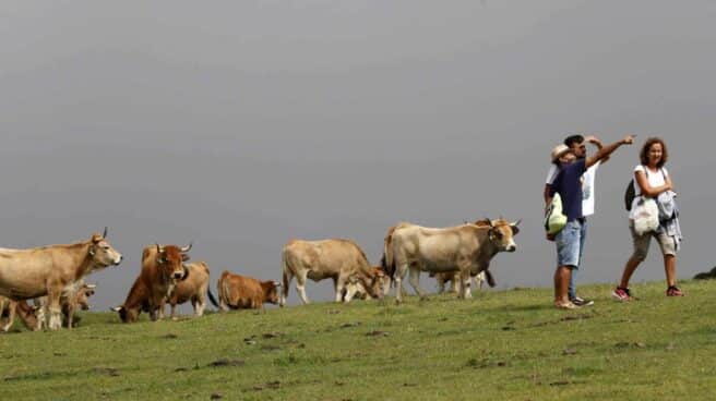 Turistas este agosto en los Lagos de Covadonga, en el Parque Nacional de Picos de Europa, Asturias.