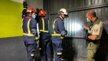 Encuentran una víbora venenosa escondida en la puerta de un garaje en Madrid