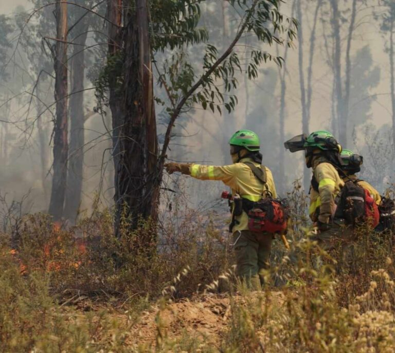 Infoca da por estabilizado el incendio de Almonaster la Real (Huelva)