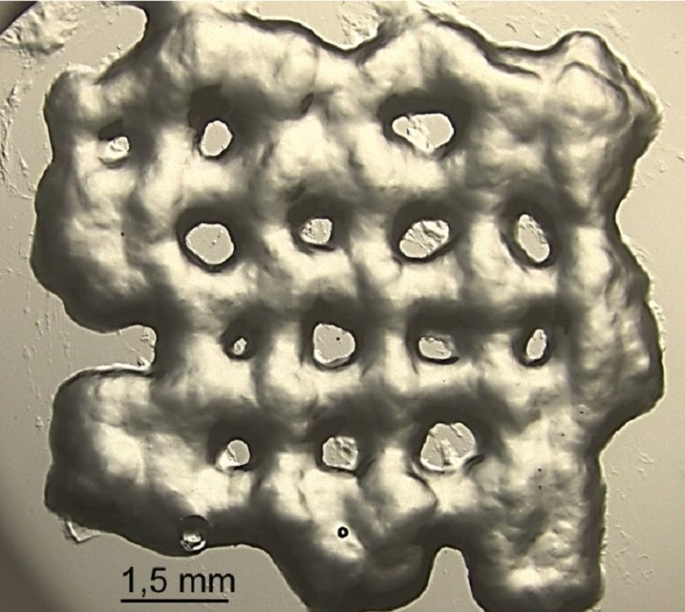 El CSIC crea nuevos hidrogeles contra el cáncer