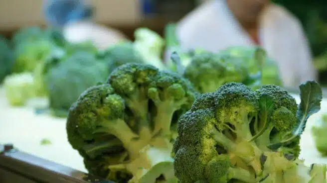 Comer brócoli ayuda a mantener el bronceado