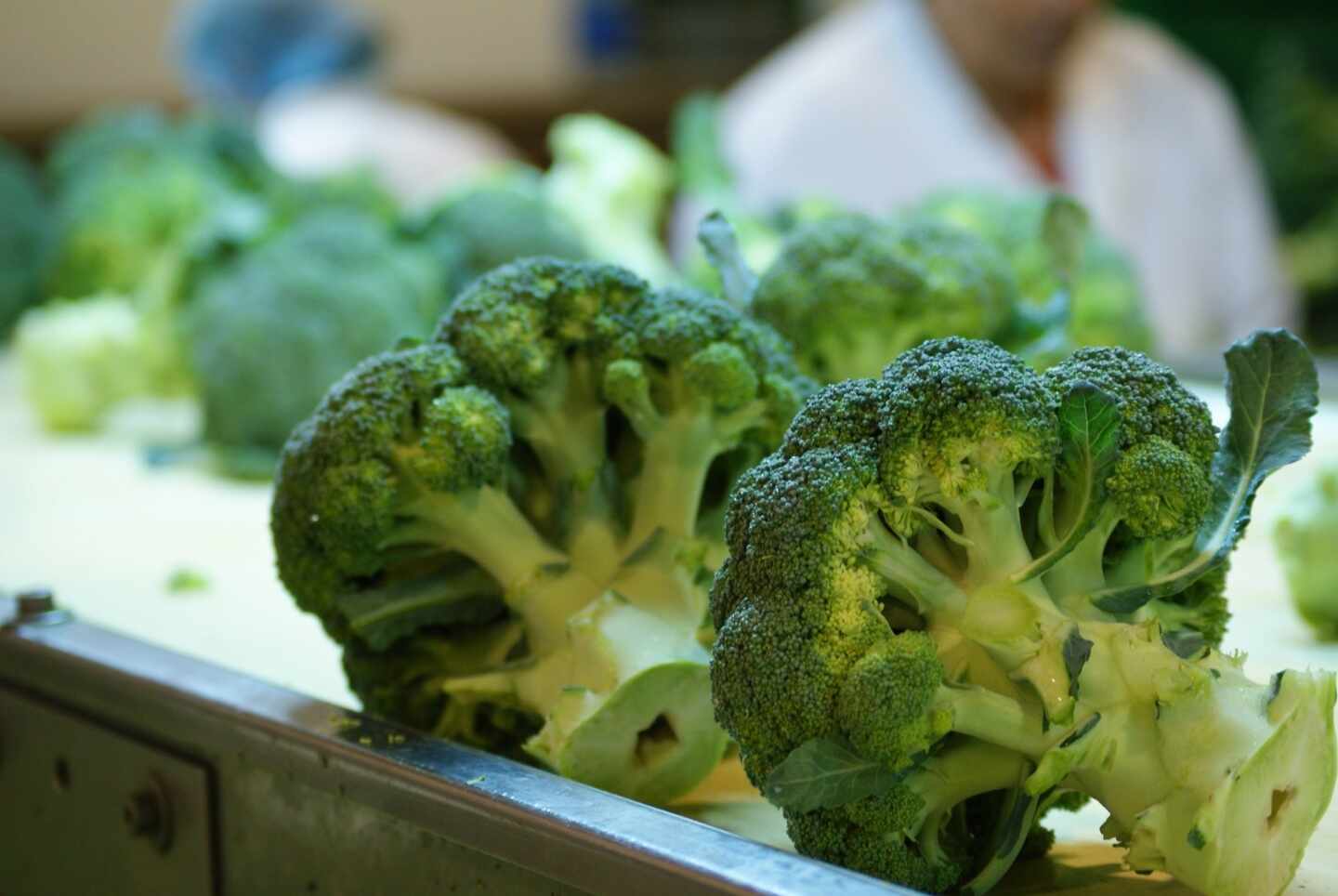 Comer brócoli ayuda a mantener el bronceado