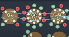 Cinco vídeos explicativos para entender mejor el coronavirus