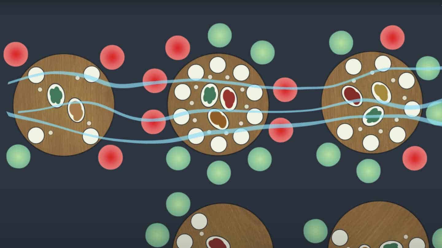 Cinco vídeos explicativos para entender mejor el coronavirus