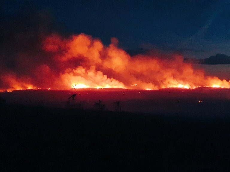 El incendio de Zamora afecta a una superficie de 2.000 hectáreas