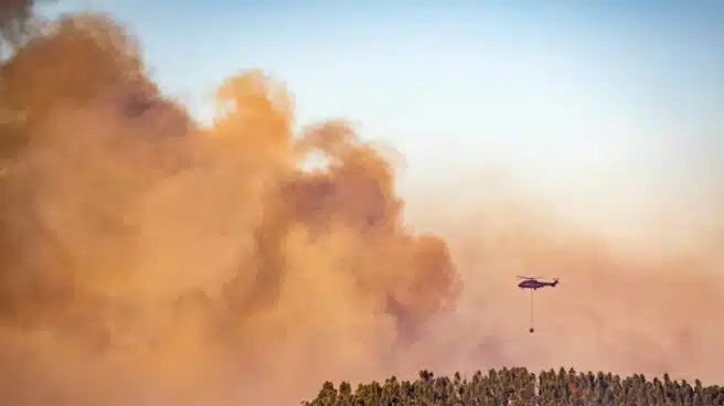 El fuego arrasa más de 53.000 hectáreas en lo que va de año en España