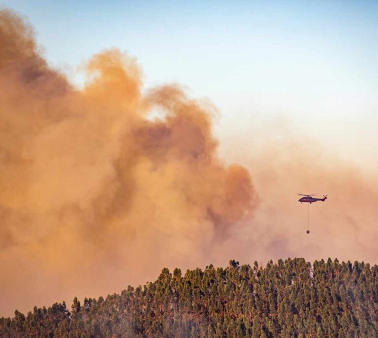 El fuego arrasa más de 53.000 hectáreas en lo que va de año en España