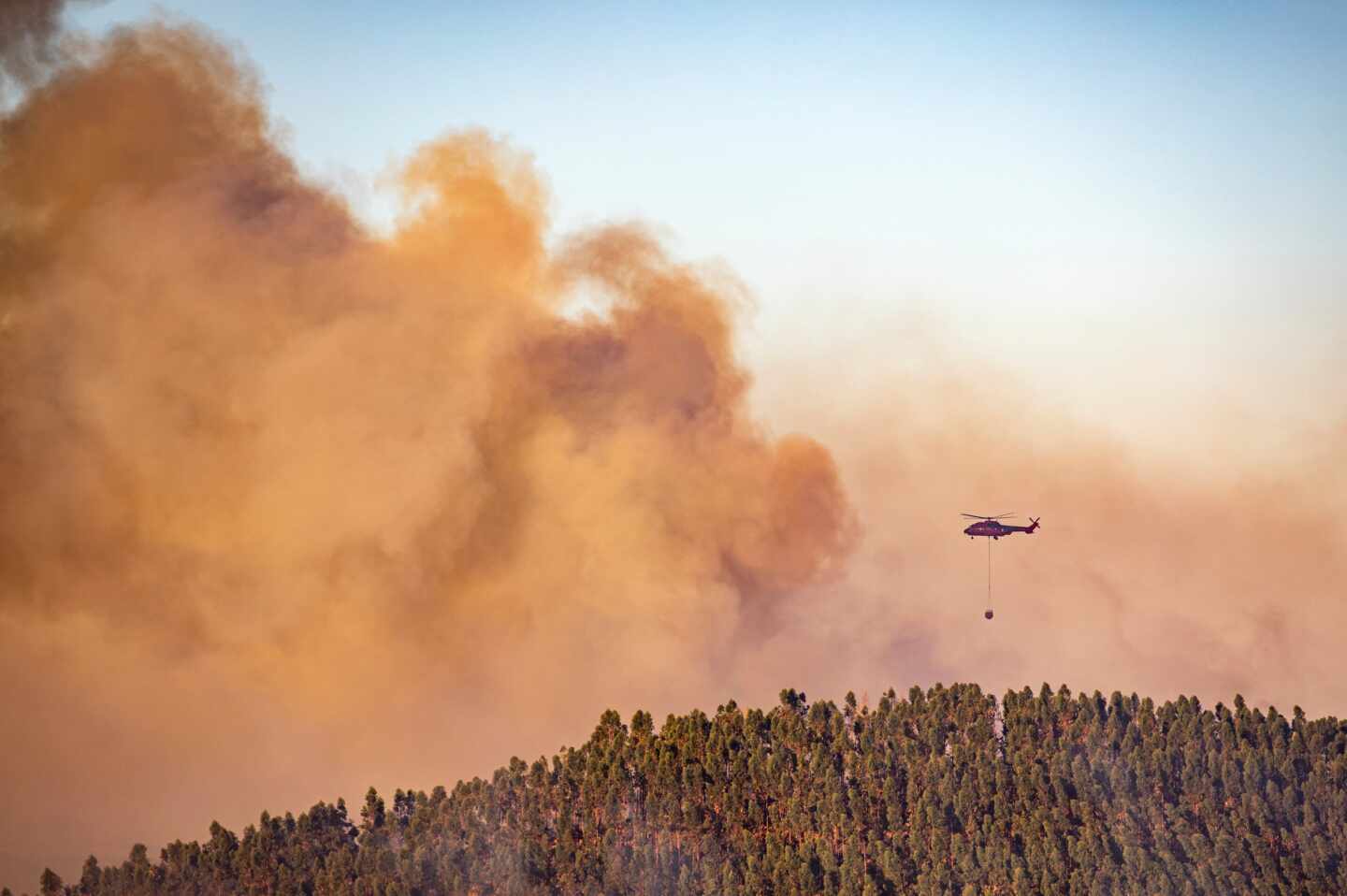 El fuego arrasa más de 53.000 hectáreas en lo que va de año en España