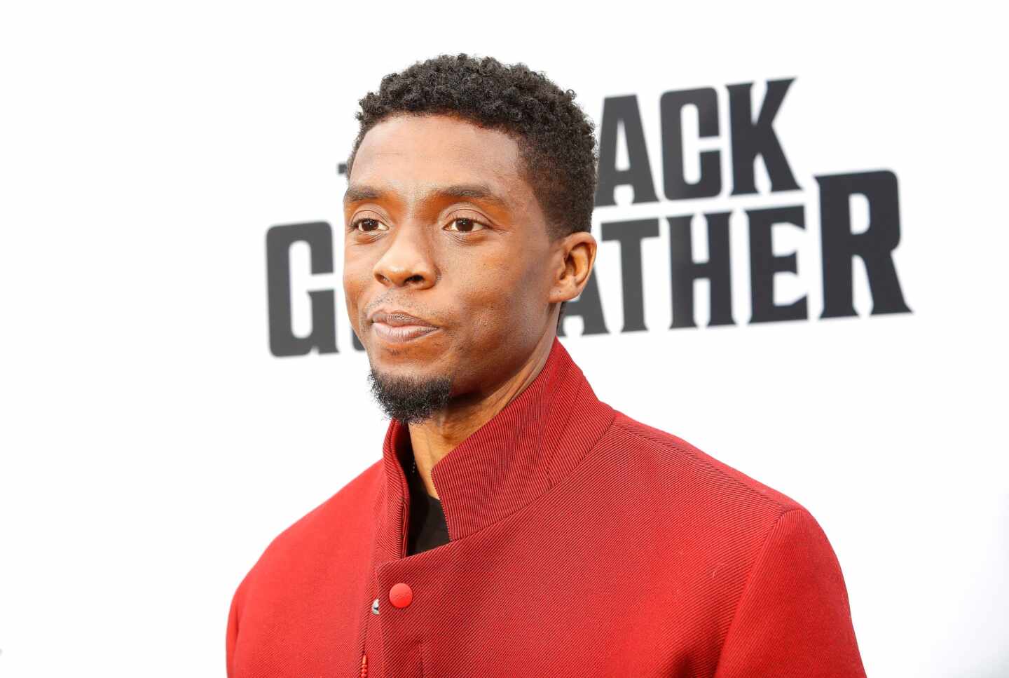 Muere Chadwick Boseman, la 'Pantera Negra'