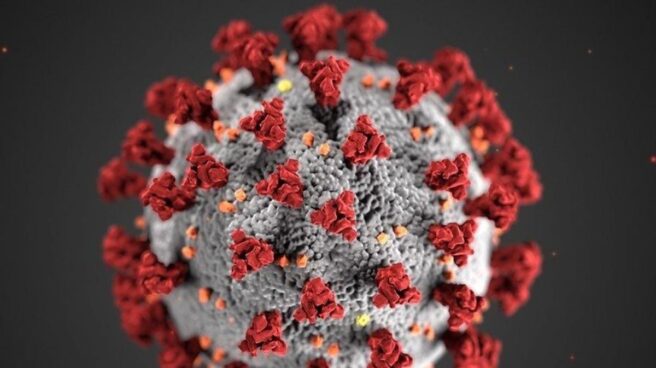 Coronavirus recurso