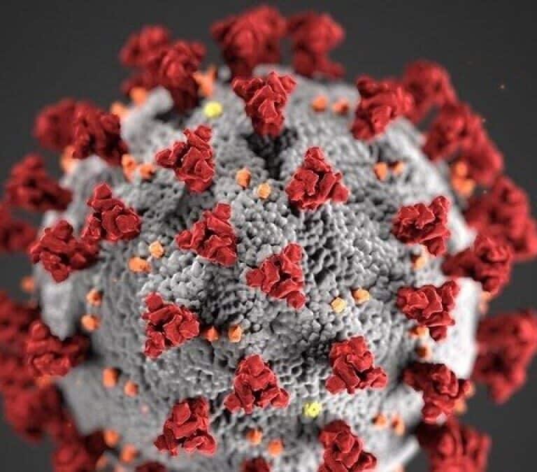 Identifican una proteína como posible responsable de la gravedad del COVID-19