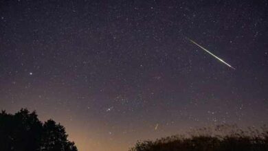 ¿Dónde y cuándo se verán mejor las Perseidas?