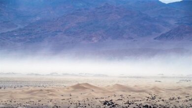 Asfixiante: el Valle de la Muerte registra una temperatura récord de 54,4ºC