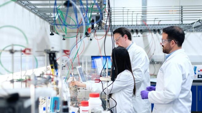 Científicos trabajando en el CSIC