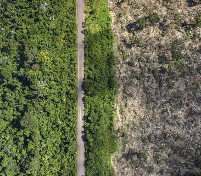 Saltan las alarmas: el Amazonas arde más que en 2019