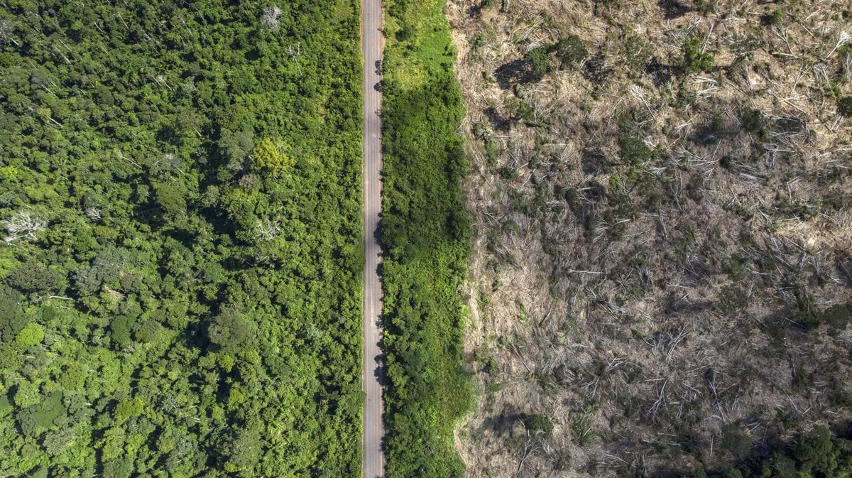 Saltan las alarmas: el Amazonas arde más que en 2019