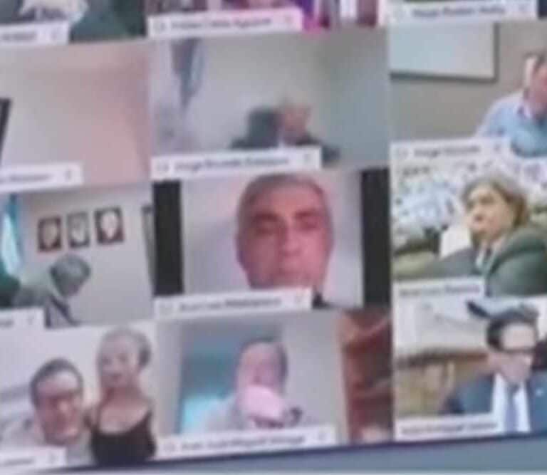 Un diputado besa los pechos de su pareja en plena sesión parlamentaria por Zoom
