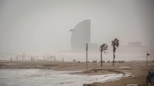 temporal olas tormenta