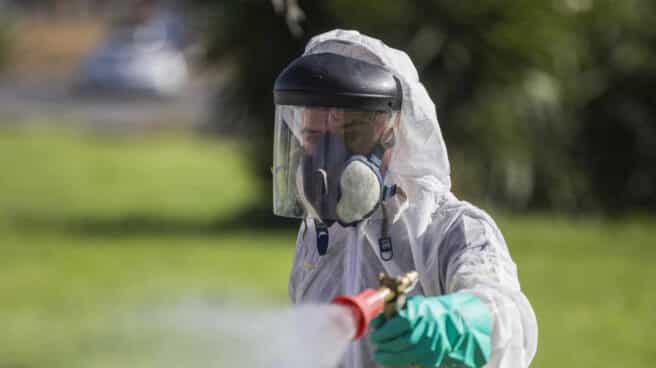 Un trabajador durante las labores de fumigación contra los mosquitos causantes del virus del Nilo en Coria del Río, Sevilla.