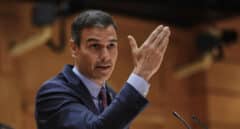 Sánchez vaticina a Casado una "derrota estrepitosa" como la de Trump