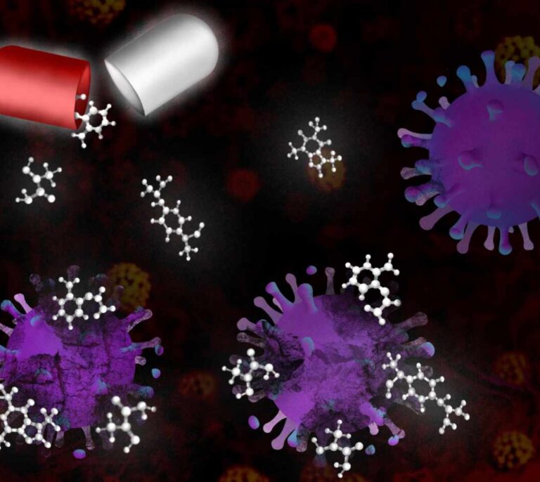 El CSIC lanza un 'crowdfunding' para investigar  100 'viejos' antivirales contra el COVID-19