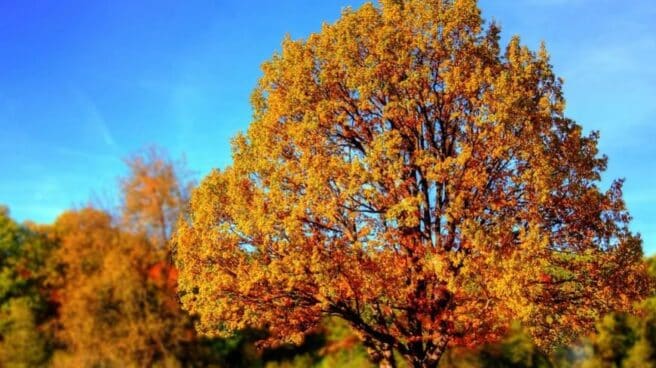 Otoño