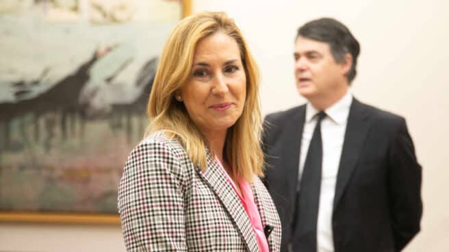 La diputada del PP, Ana María Beltrán.