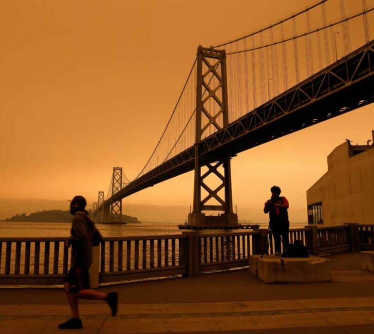 Incendios en California, el cambio climático da la cara: "Todo esto estaba anunciado"