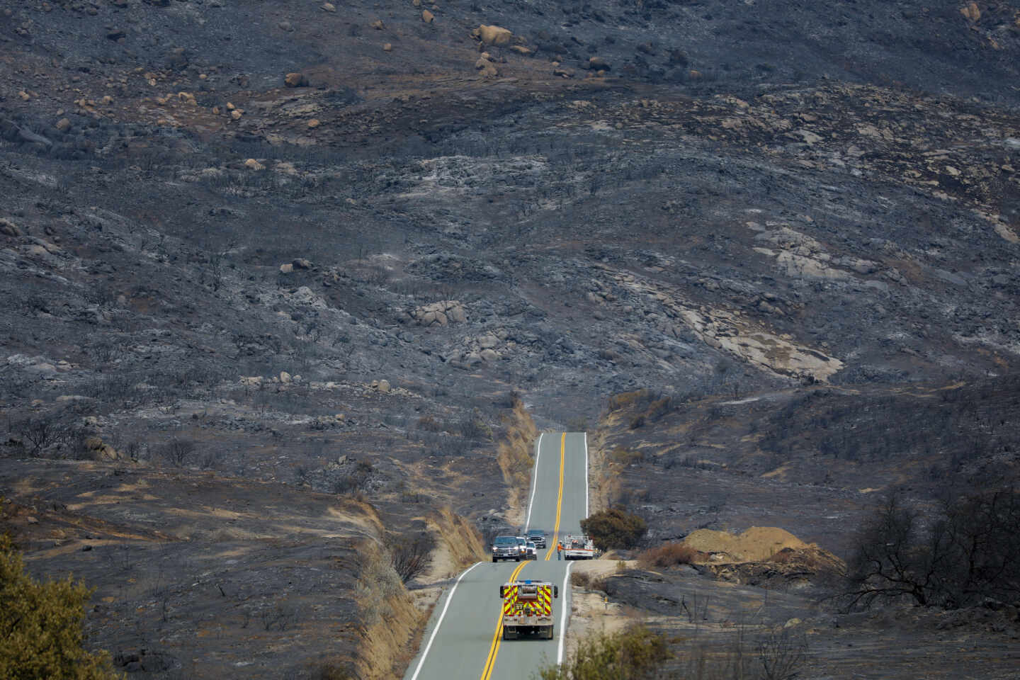 Terreno arrasado por el fuego