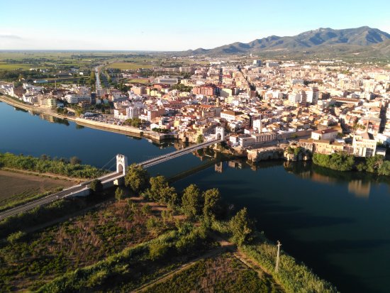 Detectan un caso de virus del Nilo en un caballo de Tarragona